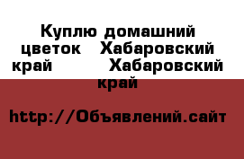 Куплю домашний цветок - Хабаровский край  »    . Хабаровский край